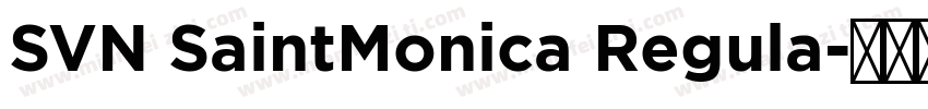 SVN SaintMonica Regula字体转换
